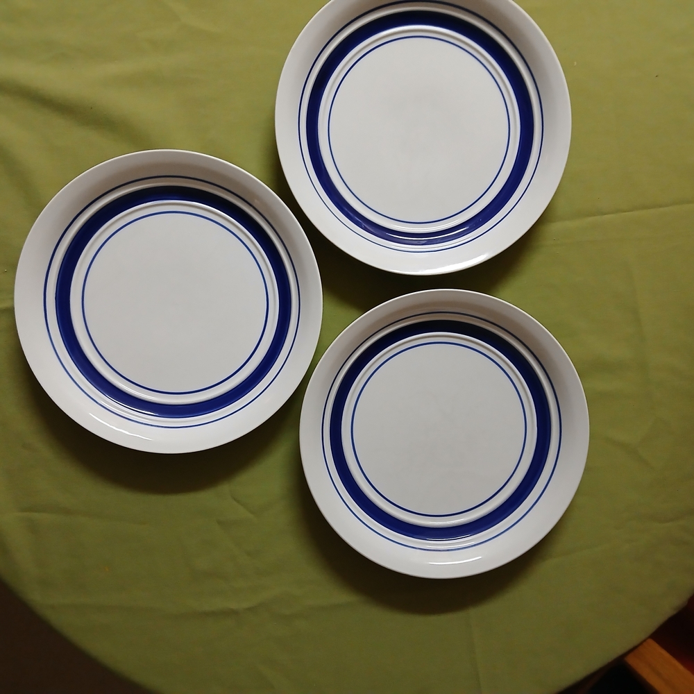 Todays Home  Dinner Plate Set